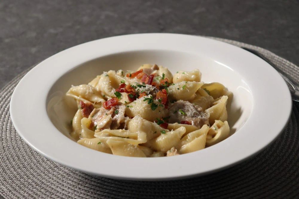 Clam Chowder Shell Pasta