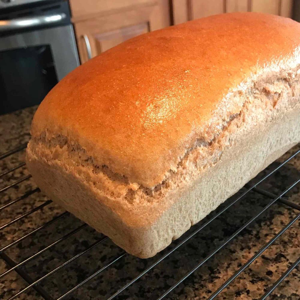 Honey Whole Wheat Bread