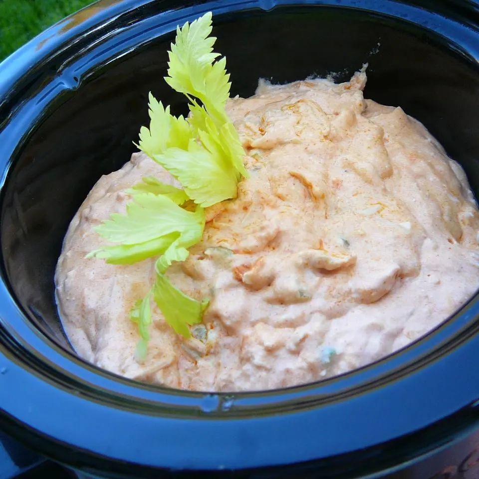 Buffalo Ranch Chicken and Cheese Dip