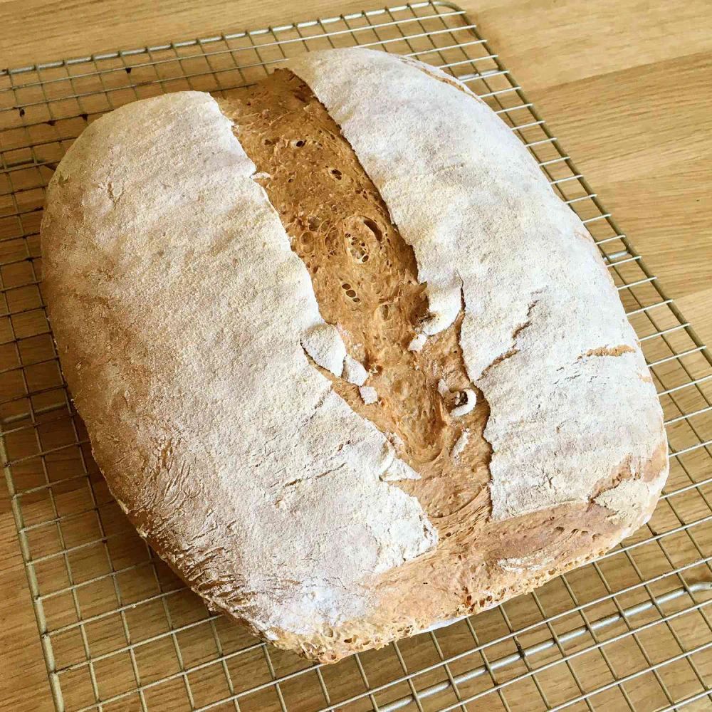 No Knead Beer Bread