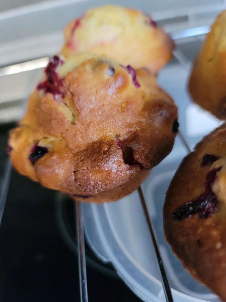 Orange-Cranberry Muffins