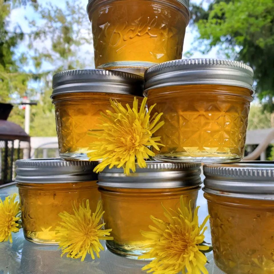 Dandelion Jelly