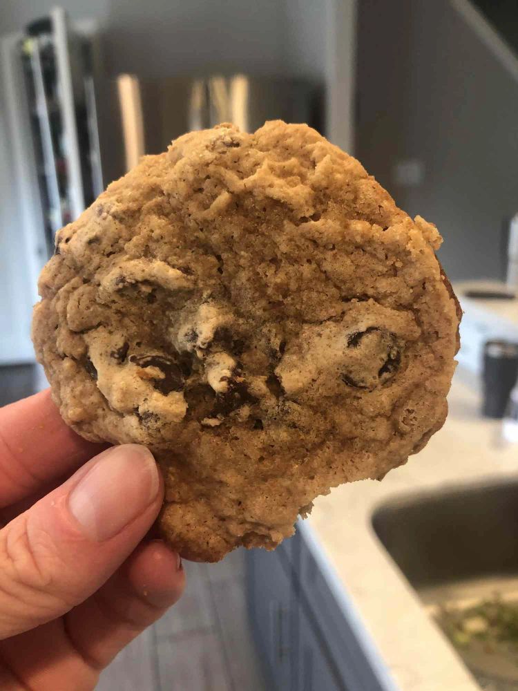 Dark Chocolate Chip Cookies with Greek Yogurt