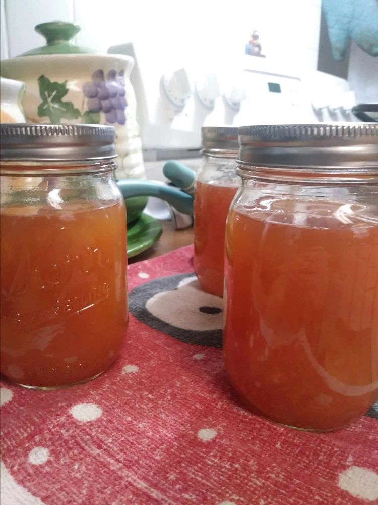 Honey Orange Marmalade