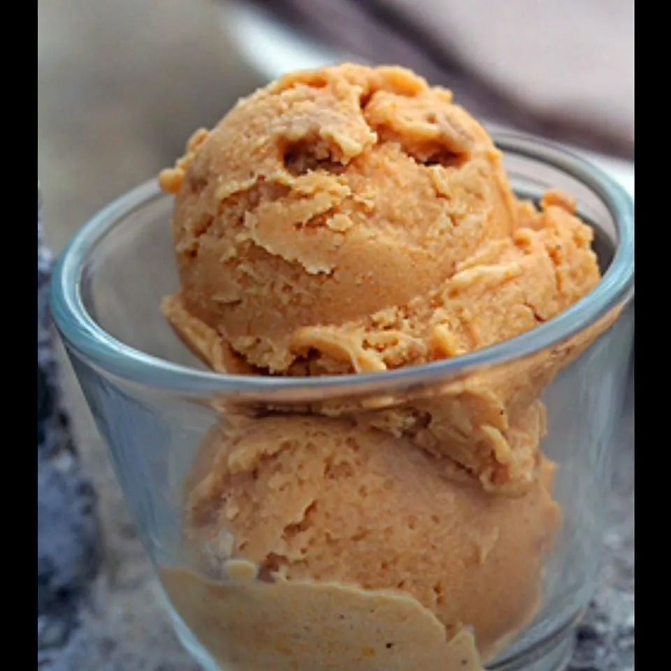 Vegan Pumpkin Ice Cream