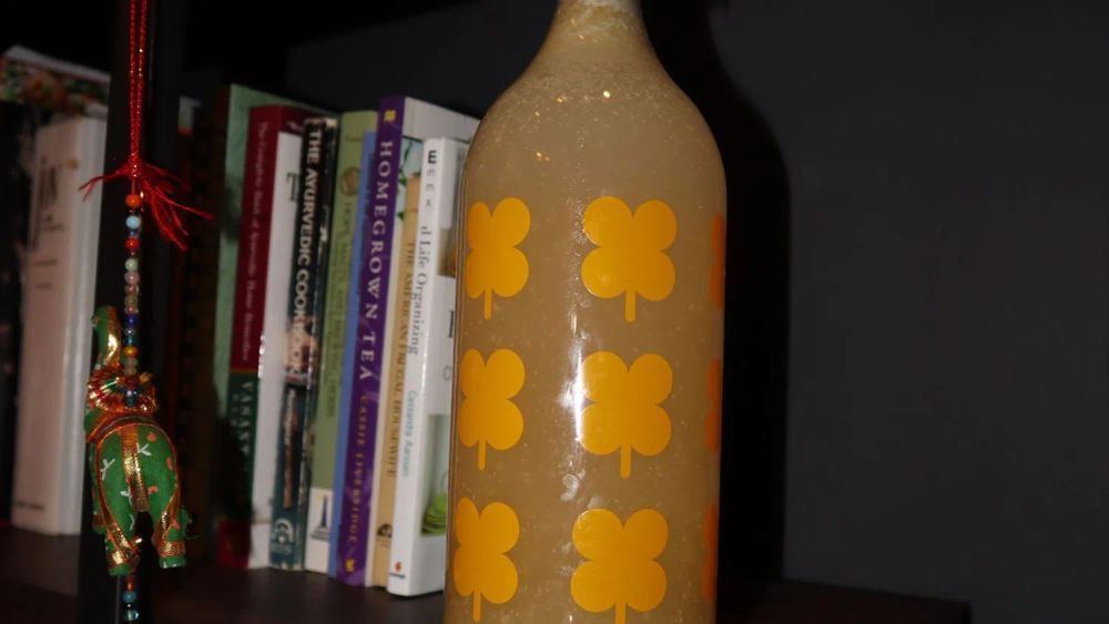 Homemade Ginger Ale