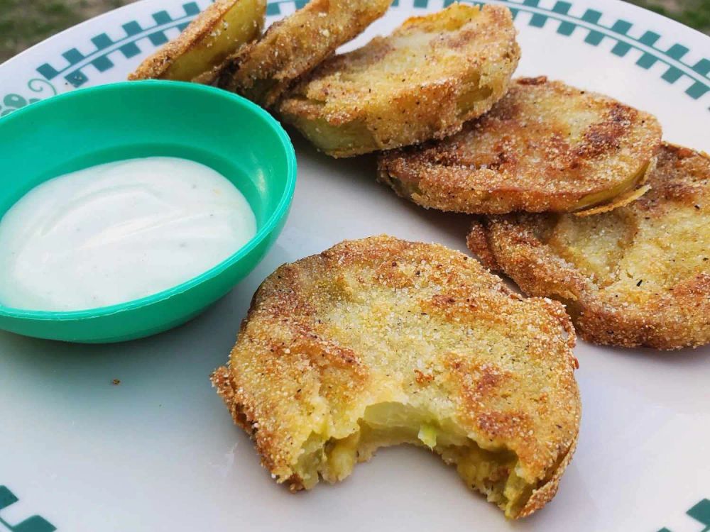 Kentucky Style Fried Green Tomatoes