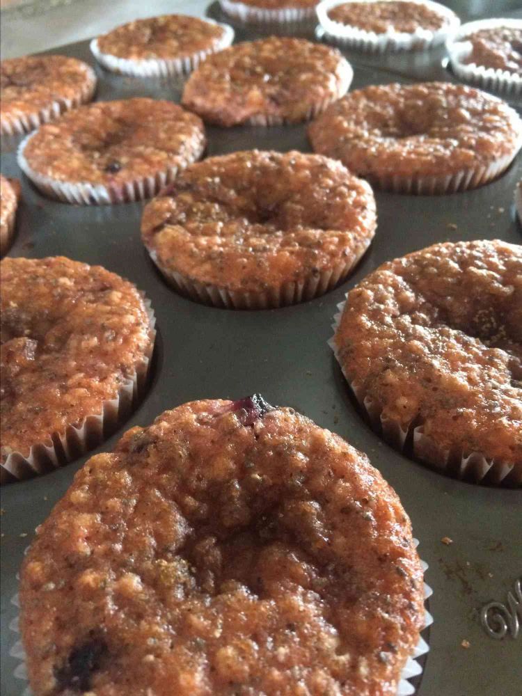 Blueberry Oatmeal Chia Seed Muffins