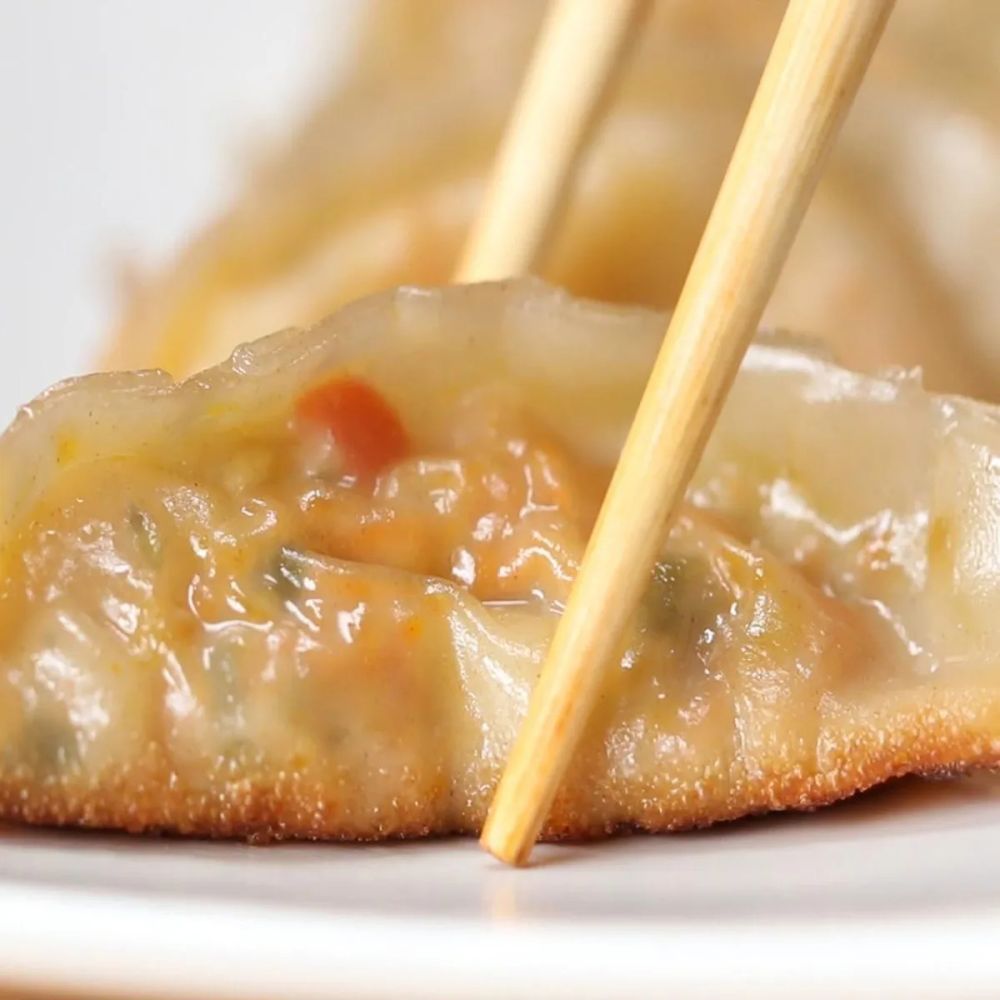 Vegetarian Potstickers