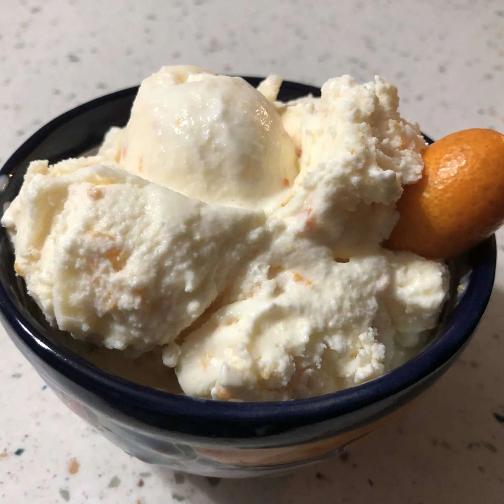 Kumquat Ice Cream