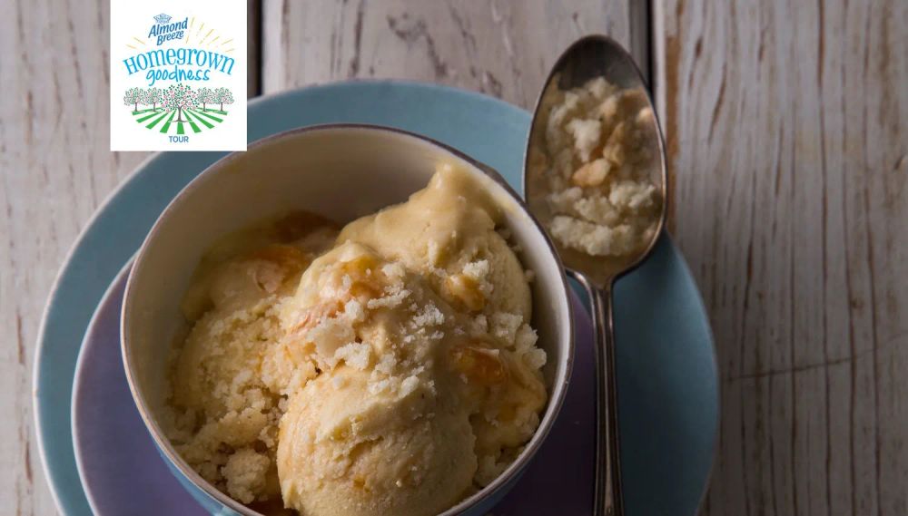 Georgia Peach Ice Cream Alternative with Cobbler Crumble