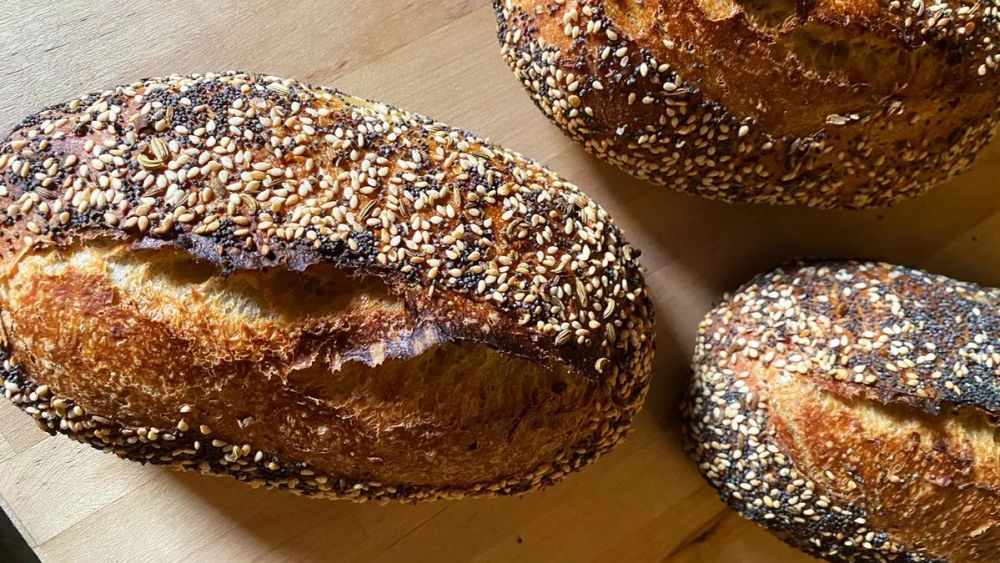 Mini Everything Seasoning Sourdough Loaves