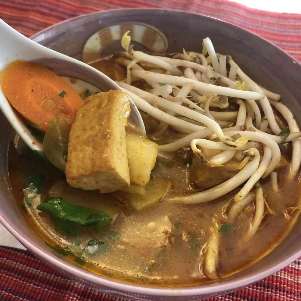 Vietnamese Style Vegetarian Curry Soup