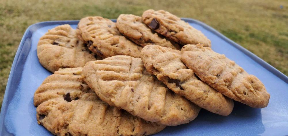 Vegan Chocolate Almond Butter Cookies