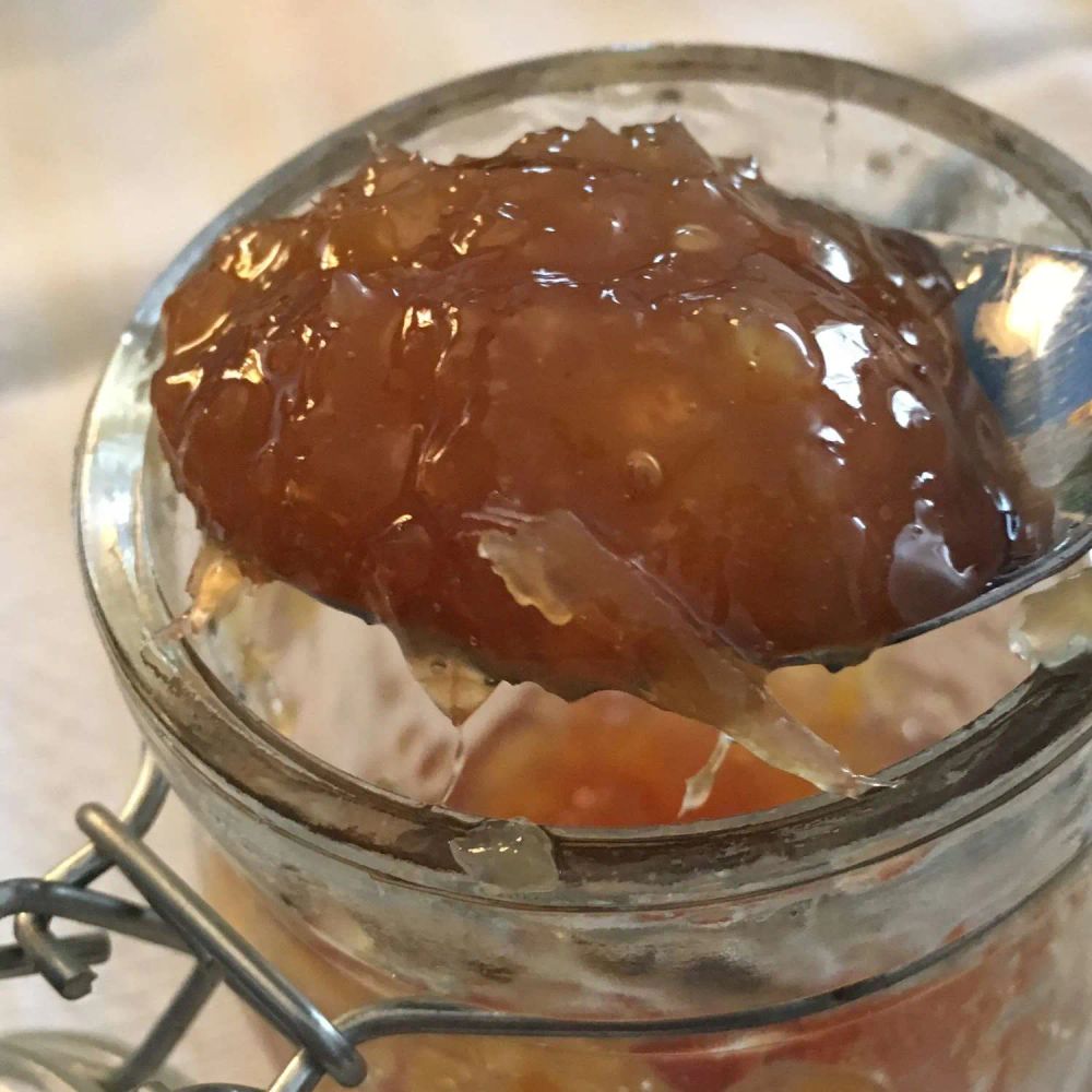 Ginger Marmalade