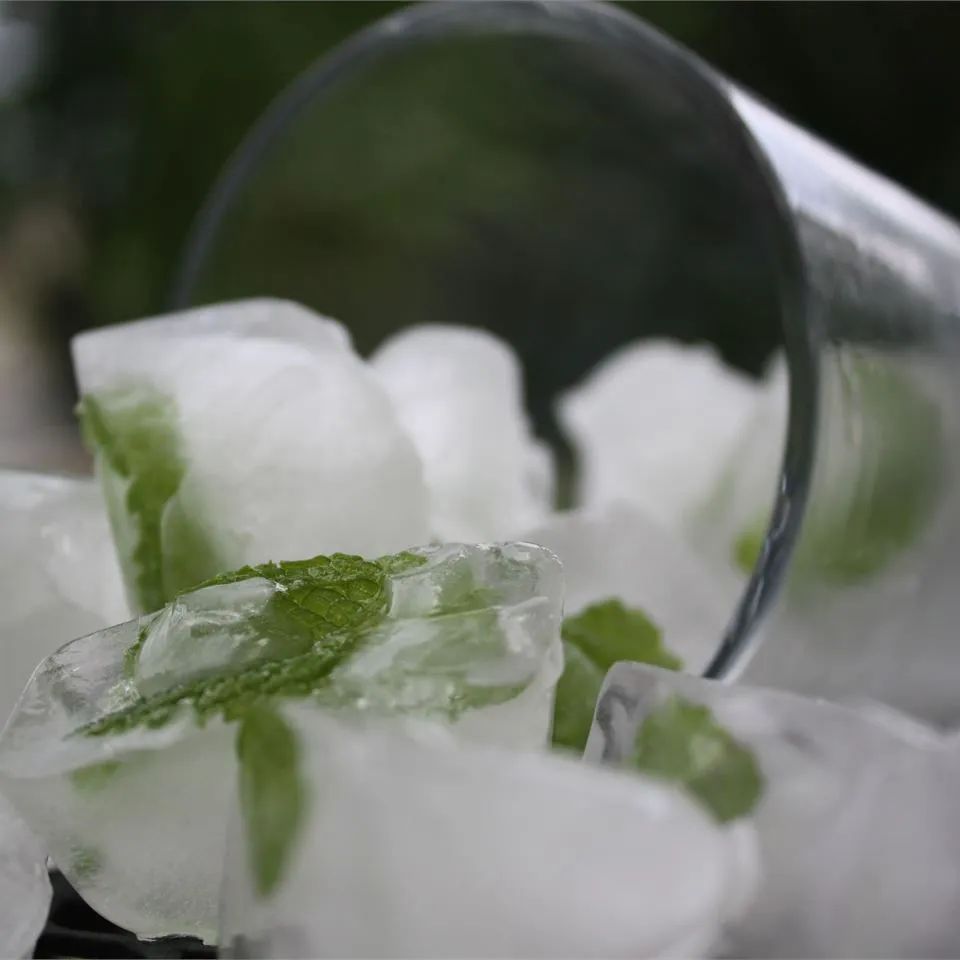 Mint Ice Cubes