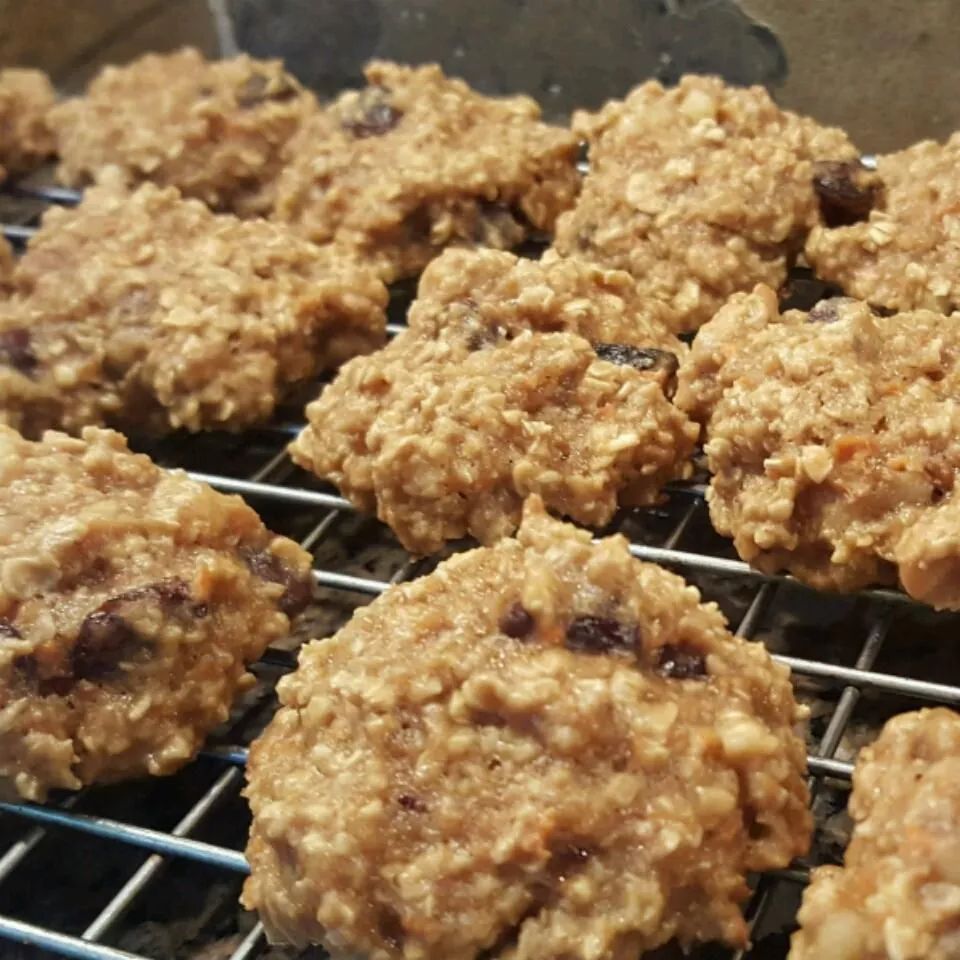 Healthier Chewy Chocolate Chip Oatmeal Cookies