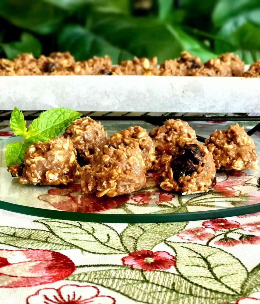 High-Protein Snack Bars