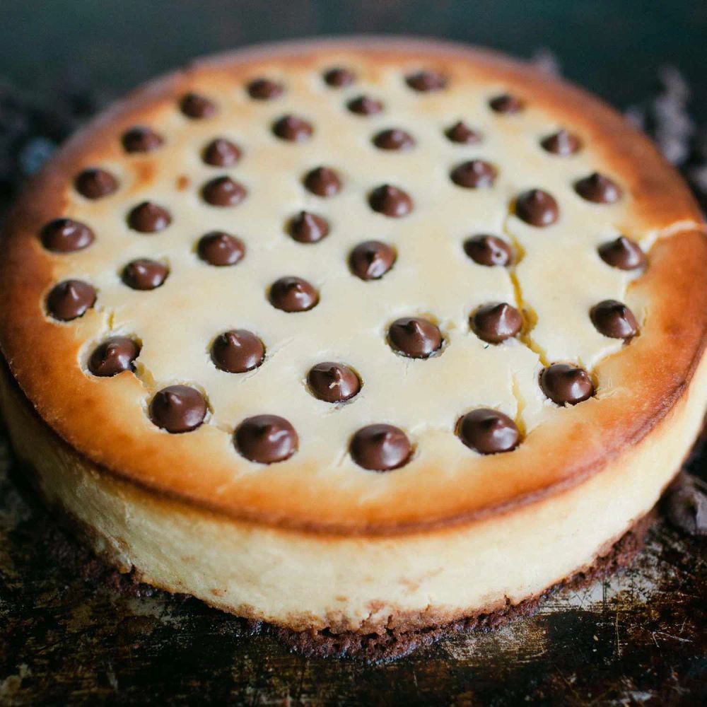 Chocolate Chip Cheesecake