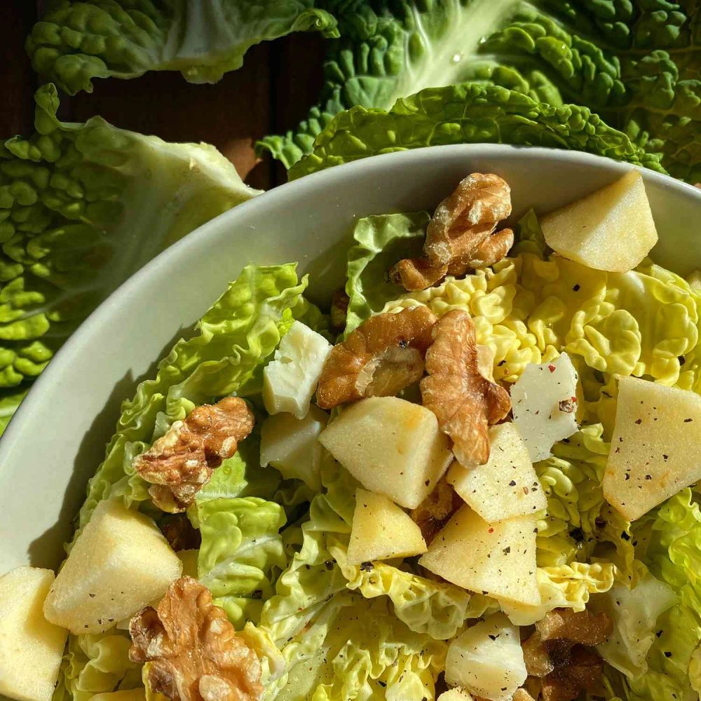 Savoy Cabbage Salad