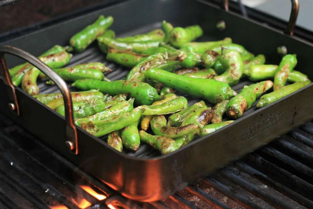 Grilled Sesame Soy Shishito Peppers