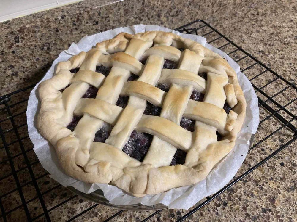 Mulberry Pie