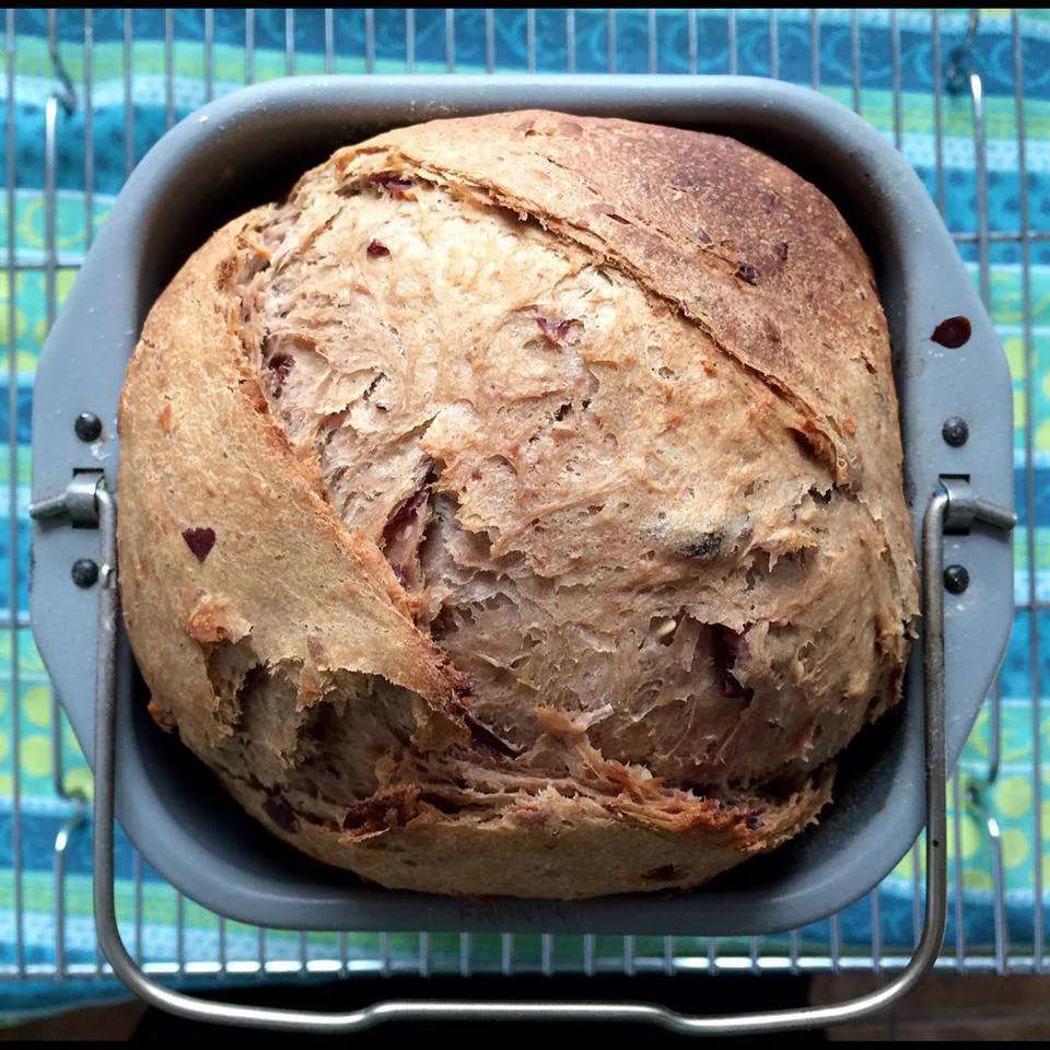 Cranberry Oat Bread