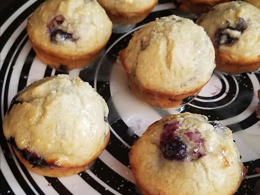 Easy Blueberry Muffins