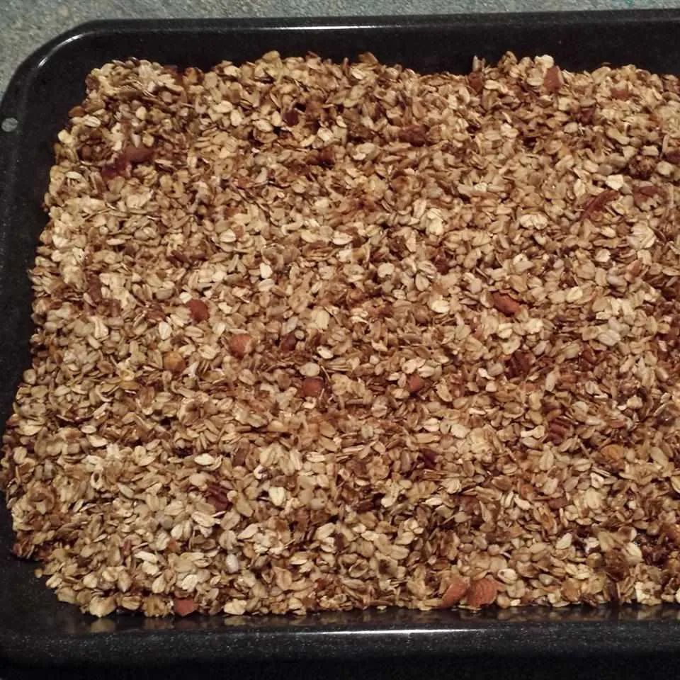 Homemade Granola Cereal