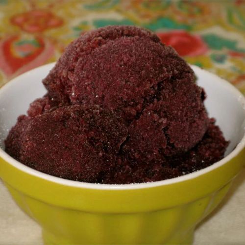 Pink Grapefruit Blueberry Sorbet