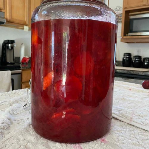 Tangy Plum Liqueur