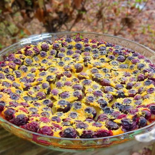 Blueberry Clafouti