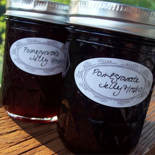 Pomegranate Jelly