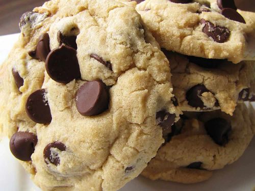 Absolutely the Best Chocolate Chip Cookies