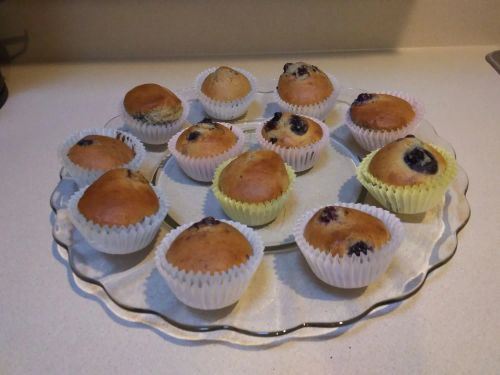 Mulberry Muffins