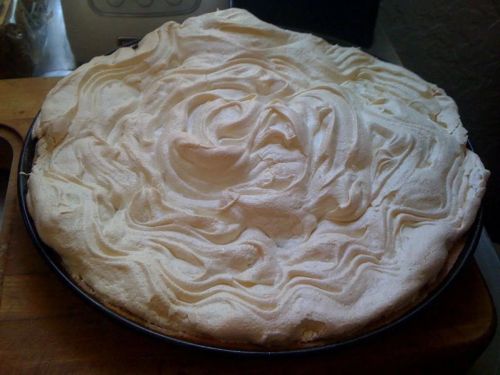 German Rhubarb Meringue Cake