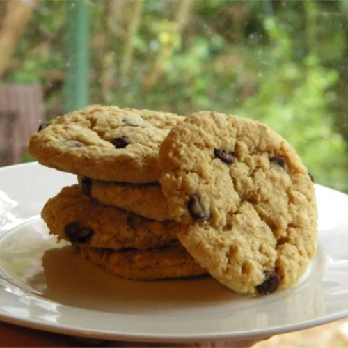 Mrs. Fields Cookie Recipe I