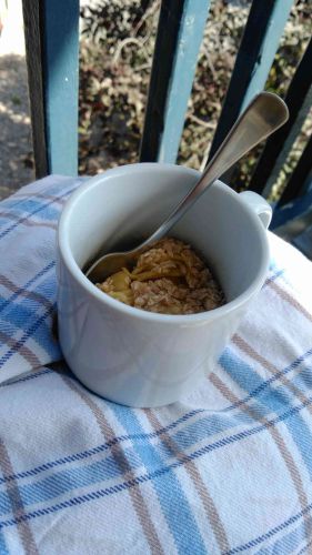 Apple Crisp in a Mug