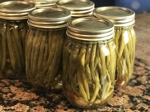 Crisp Pickled Green Beans