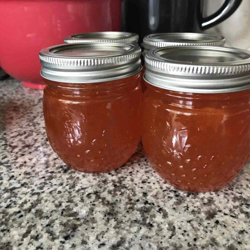 Apple Jelly