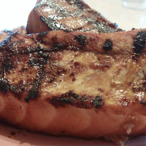 Grilled Gulf Shark