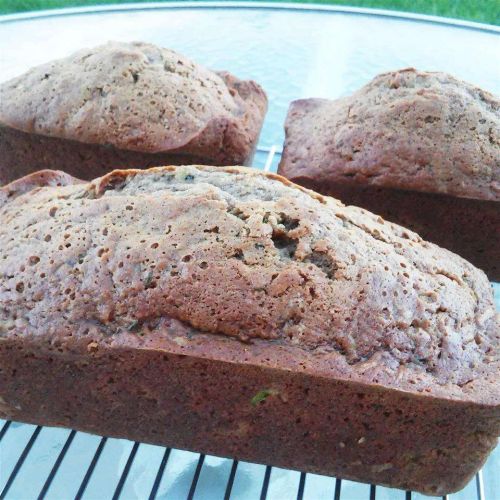 Best Zucchini Bread