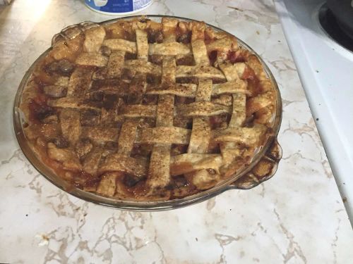 Grammy's Favorite Rhubarb Custard Pie