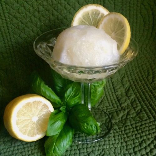 No-Churn Lemon-Basil Sorbet