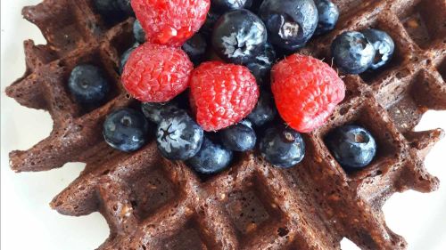 Best Vegan Chocolate Oatmeal Waffles