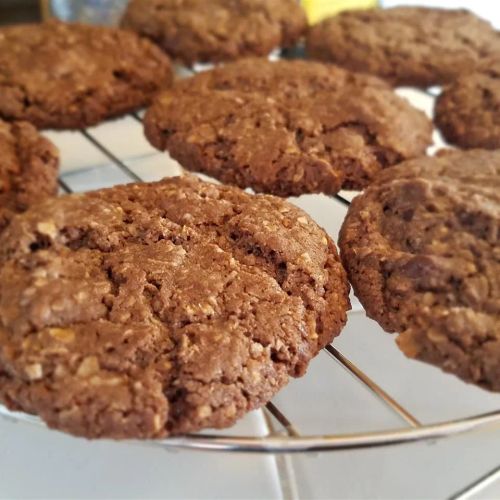 Chocolate Oatmeal Chocolate Chips Cookies