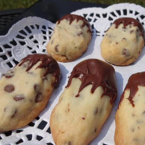 Mini Chocolate Chip Shortbread Cookies