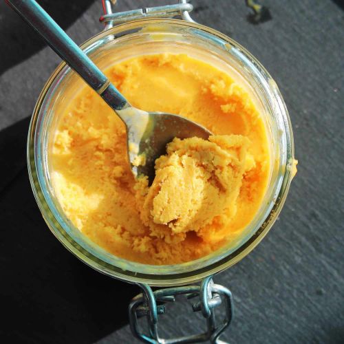 Homemade Pumpkin Ice Cream