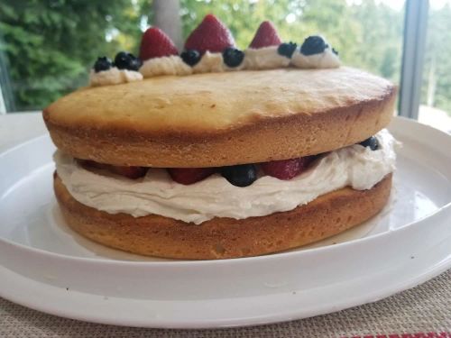 Deliciously Refreshing Naked Layer Cake