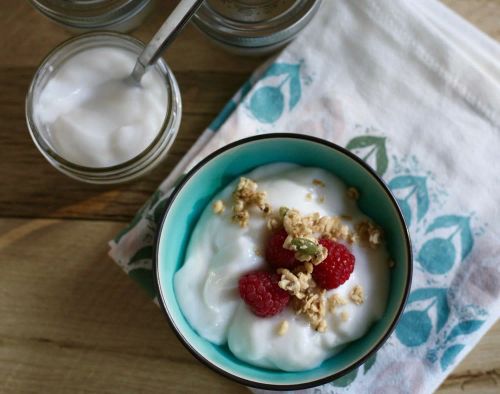 Homemade Vegan Coconut Yogurt